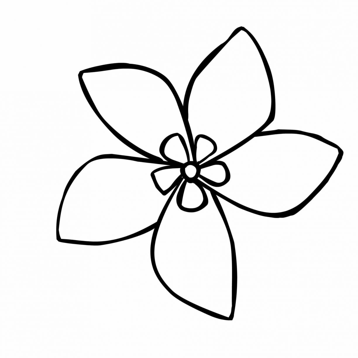 Bộ tranh tô màu bông hoa 5 cánh đơn giản cho bé 63