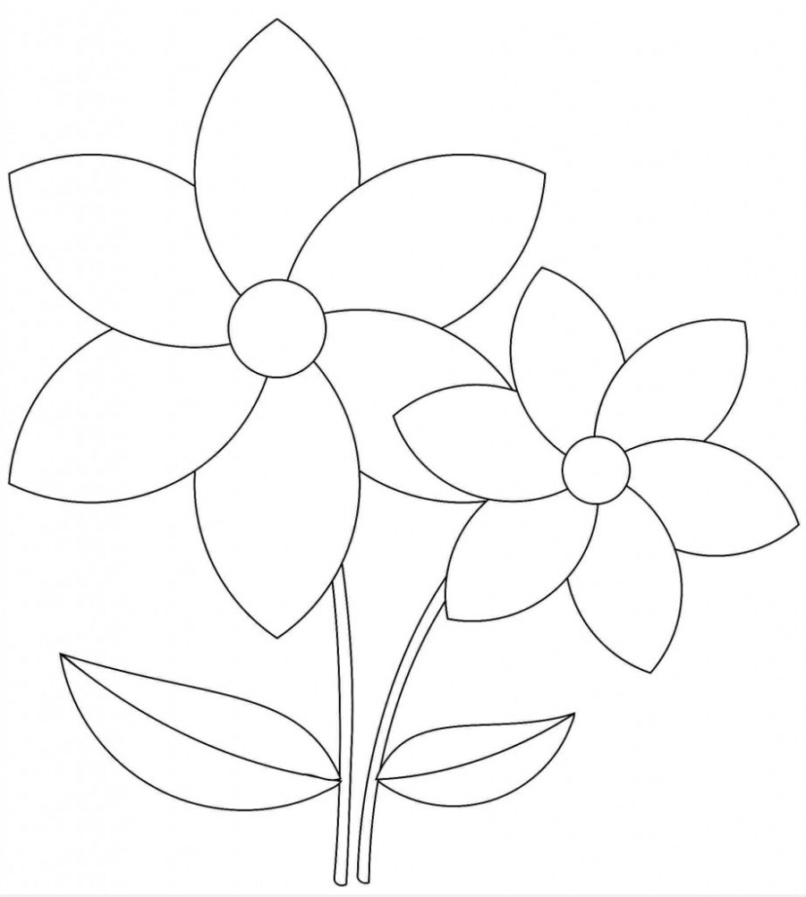 Bộ tranh tô màu bông hoa 6 cánh siêu đẹp cho bé
 11