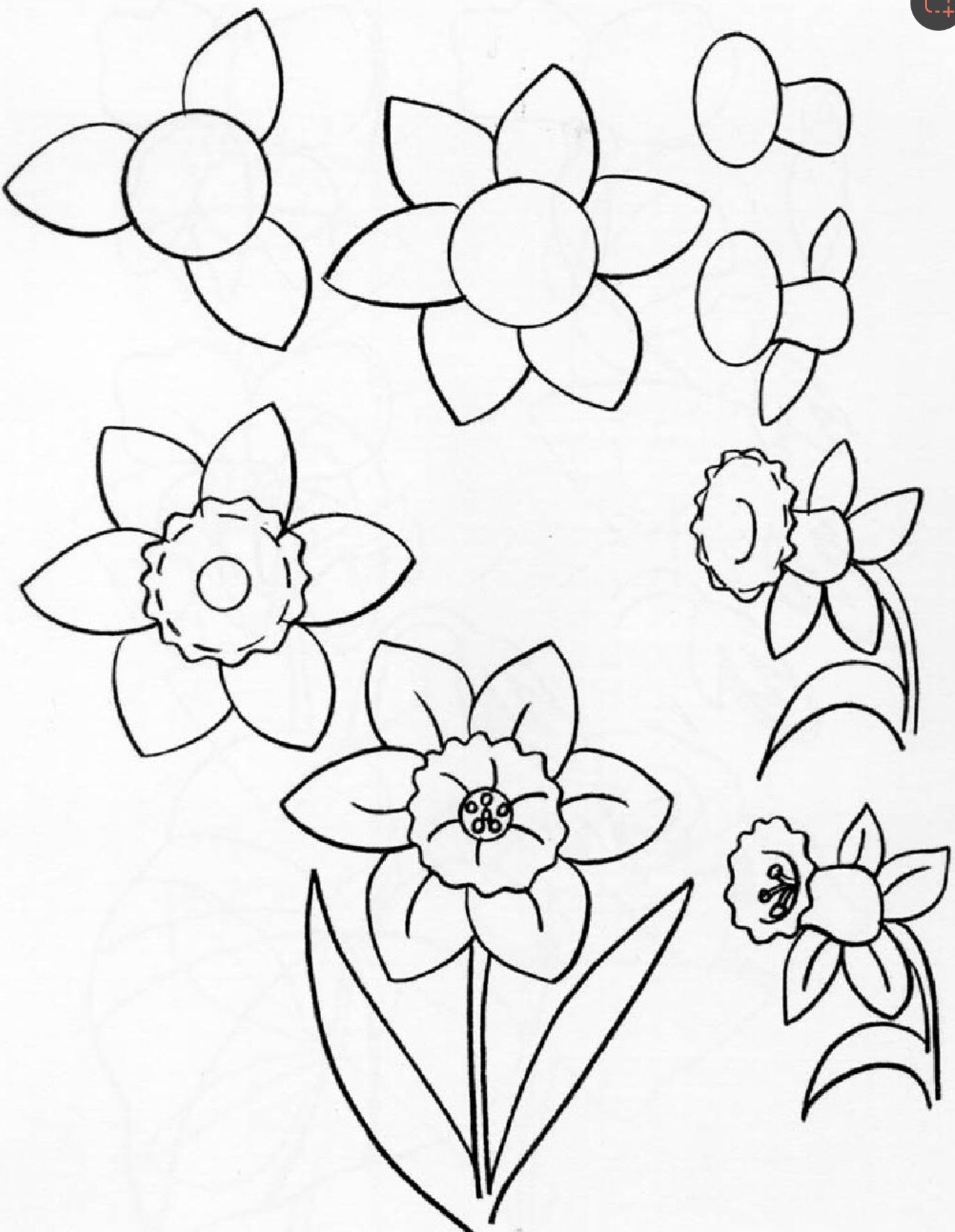Bộ tranh tô màu bông hoa 6 cánh siêu đẹp cho bé
 14