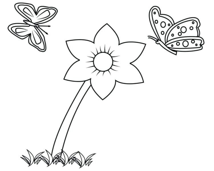 Bộ tranh tô màu bông hoa 6 cánh siêu đẹp cho bé
 41