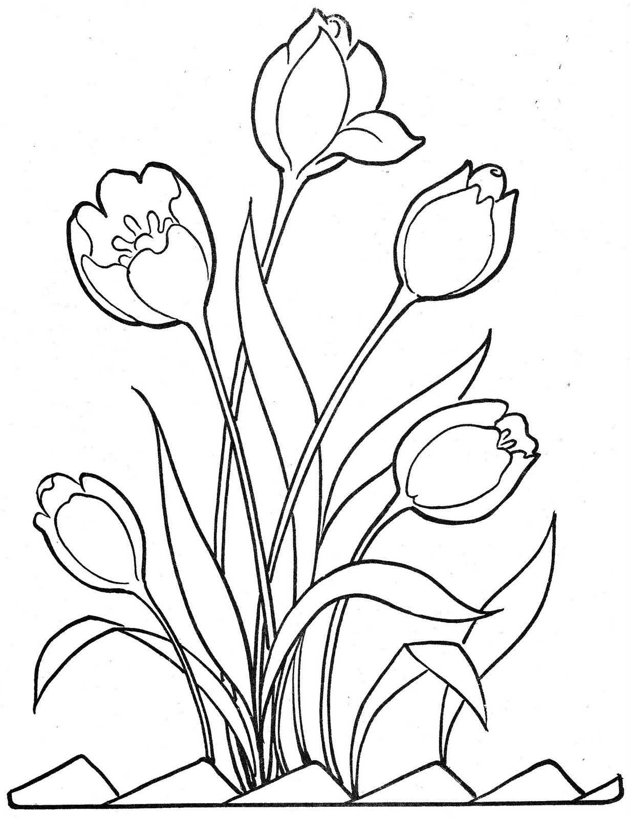 Bộ tranh tô màu hoa Tulip siêu đẹp dành cho bé 3