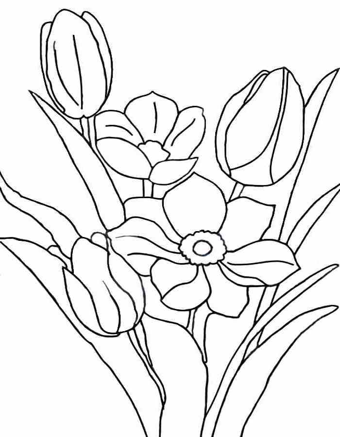 Bộ tranh tô màu hoa Tulip siêu đẹp dành cho bé 6