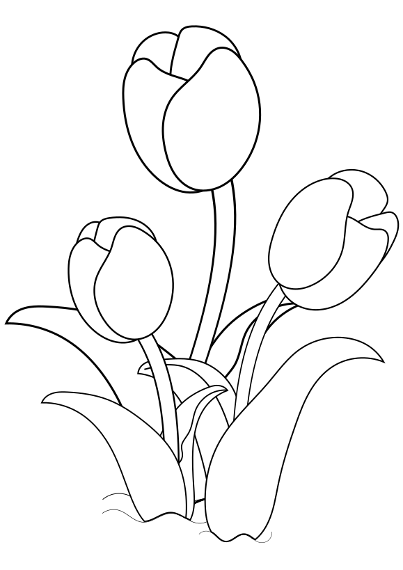Bộ tranh tô màu hoa Tulip siêu đẹp dành cho bé 7