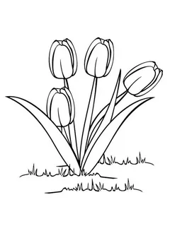 Bộ tranh tô màu hoa Tulip siêu đẹp dành cho bé 11