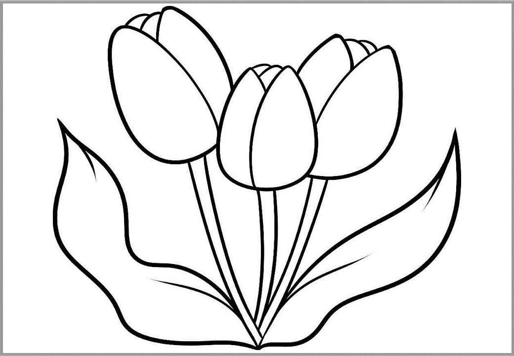 Bộ tranh tô màu hoa Tulip siêu đẹp dành cho bé 14