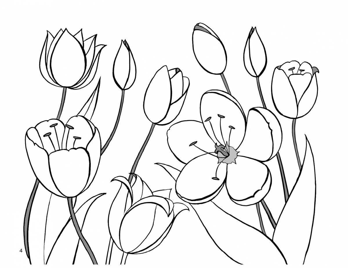Bộ tranh tô màu hoa Tulip siêu đẹp dành cho bé 15