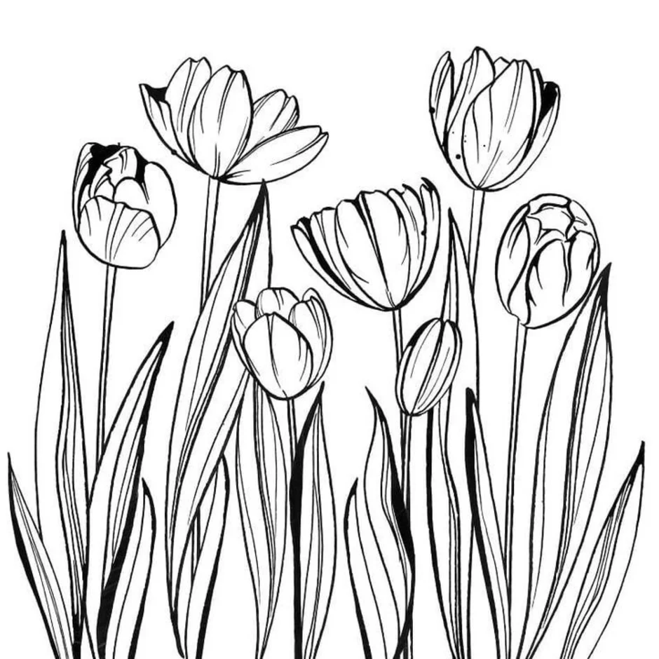 Bộ tranh tô màu hoa Tulip siêu đẹp dành cho bé 17