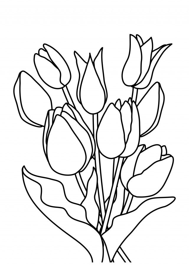 Bộ tranh tô màu hoa Tulip siêu đẹp dành cho bé 24