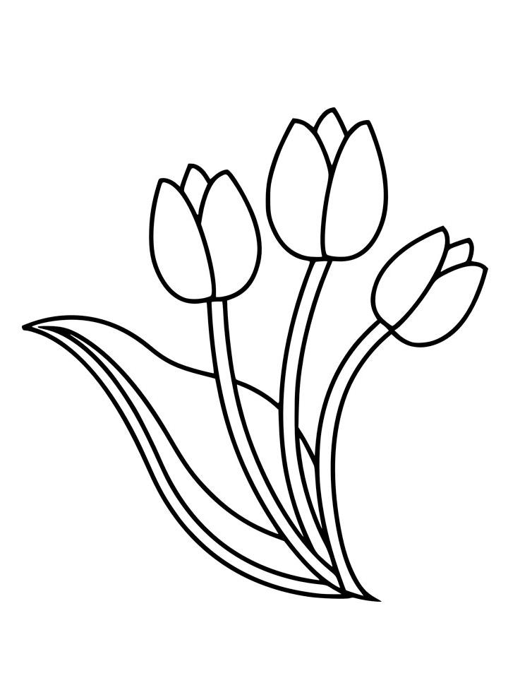 Bộ tranh tô màu hoa Tulip siêu đẹp dành cho bé 25