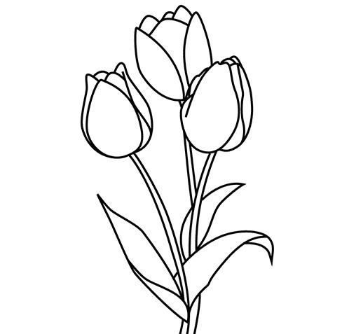 Bộ tranh tô màu hoa Tulip siêu đẹp dành cho bé 26