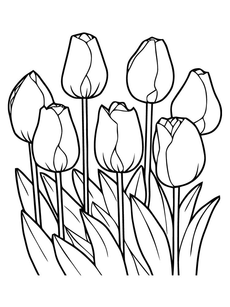 Bộ tranh tô màu hoa Tulip siêu đẹp dành cho bé 28