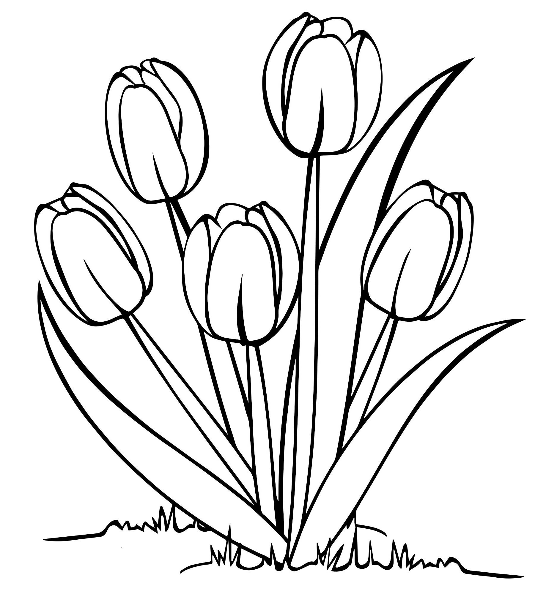 Bộ tranh tô màu hoa Tulip siêu đẹp dành cho bé 29