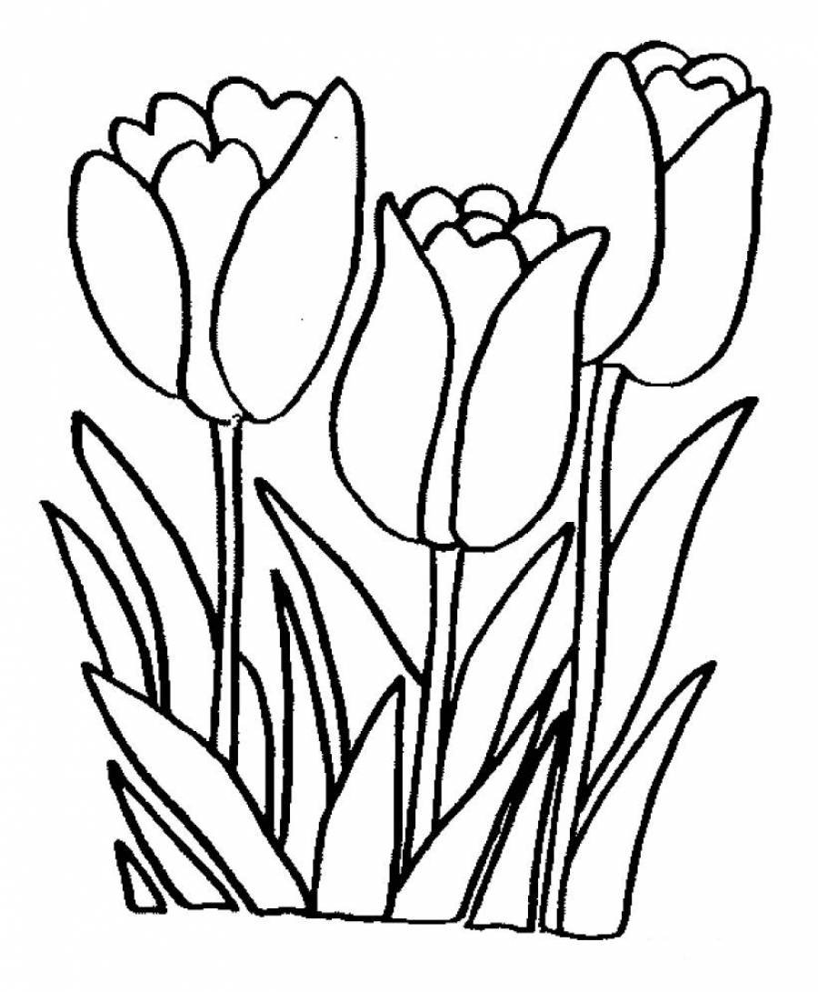 Bộ tranh tô màu hoa Tulip siêu đẹp dành cho bé 31