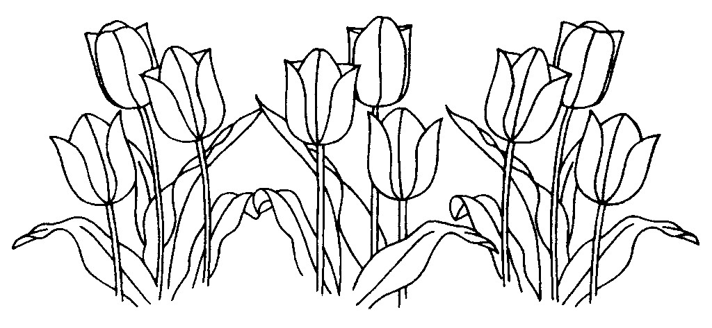 Bộ tranh tô màu hoa Tulip siêu đẹp dành cho bé 32