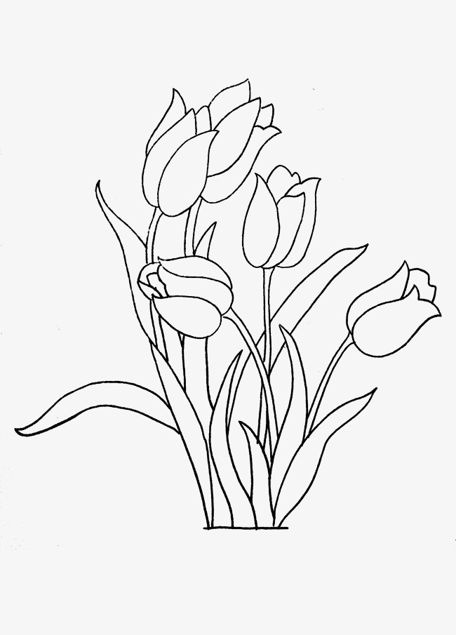 Bộ tranh tô màu hoa Tulip siêu đẹp dành cho bé 35