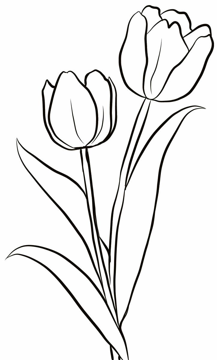 Bộ tranh tô màu hoa Tulip siêu đẹp dành cho bé 36