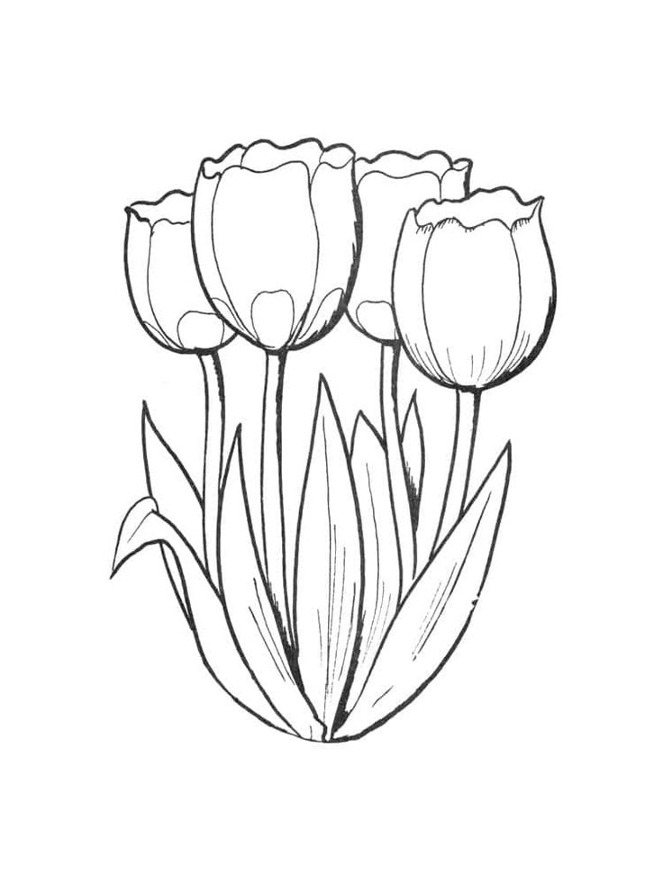 Bộ tranh tô màu hoa Tulip siêu đẹp dành cho bé 37