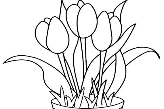 Bộ tranh tô màu hoa Tulip siêu đẹp dành cho bé 38