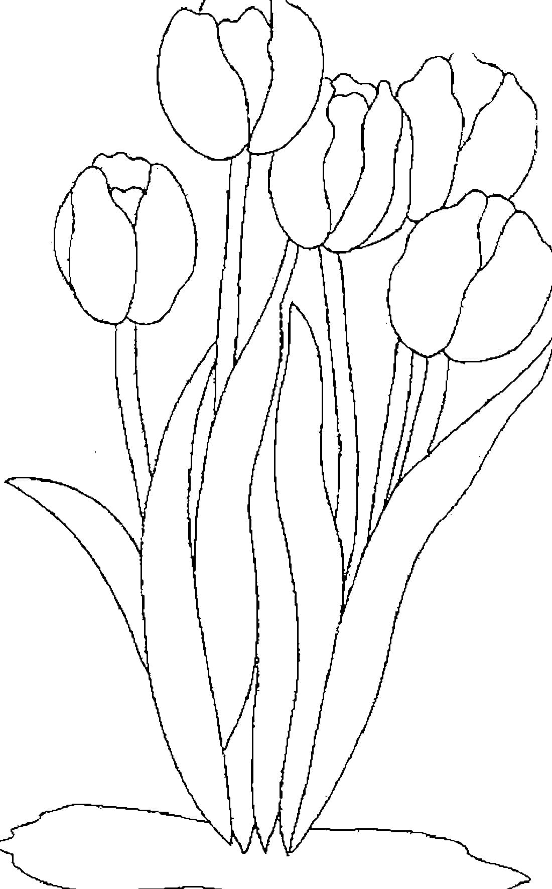 Bộ tranh tô màu hoa Tulip siêu đẹp dành cho bé 40
