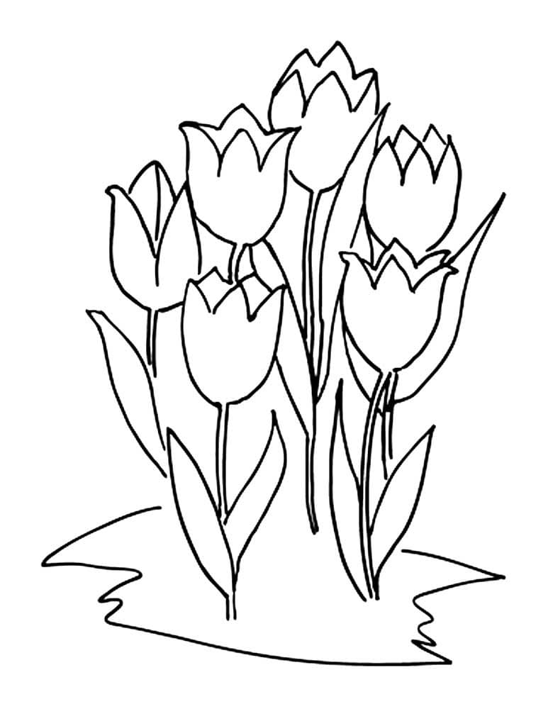 Bộ tranh tô màu hoa Tulip siêu đẹp dành cho bé 41