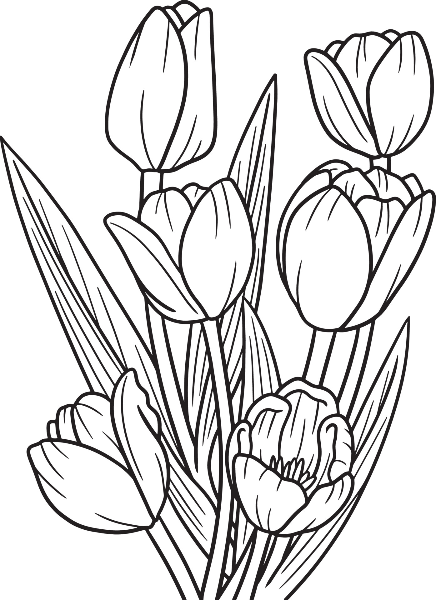 Bộ tranh tô màu hoa Tulip siêu đẹp dành cho bé 44
