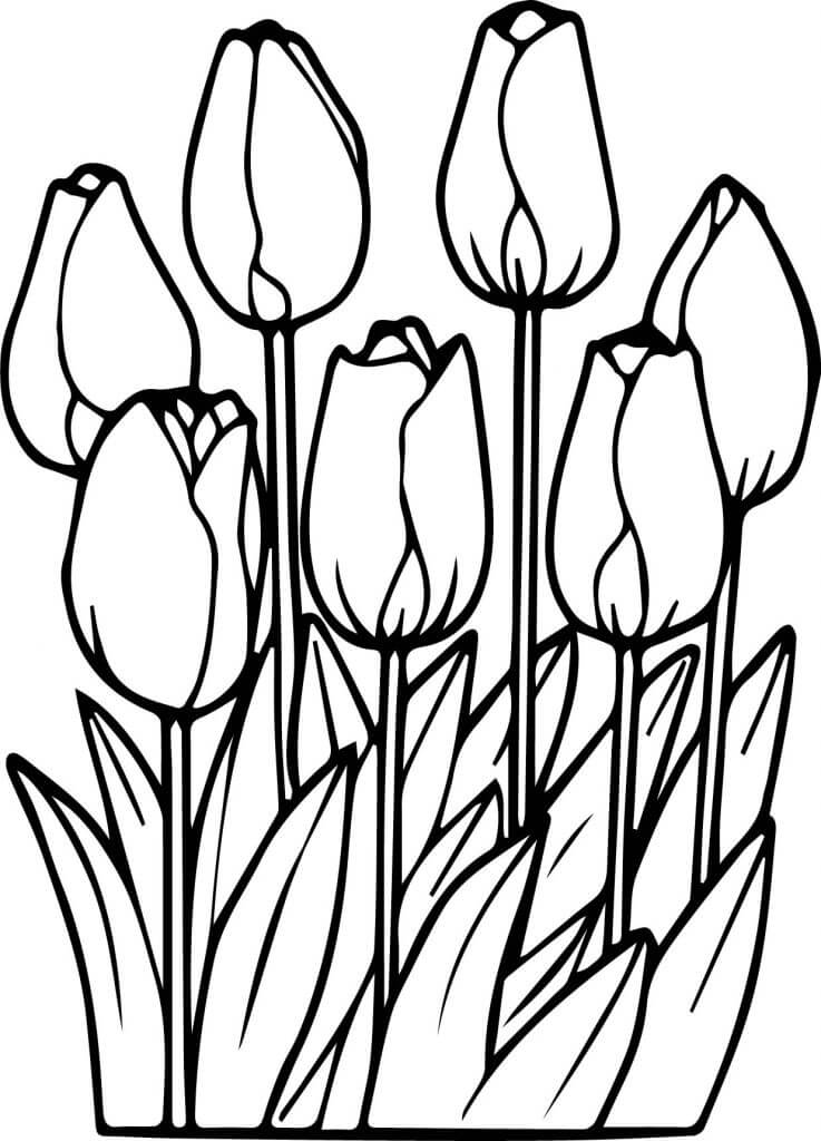 Bộ tranh tô màu hoa Tulip siêu đẹp dành cho bé 45