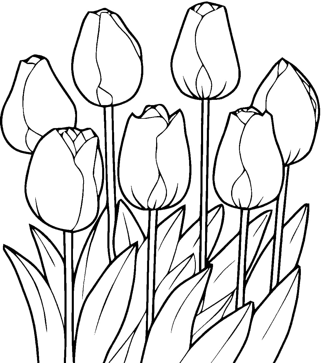 Bộ tranh tô màu hoa Tulip siêu đẹp dành cho bé 47
