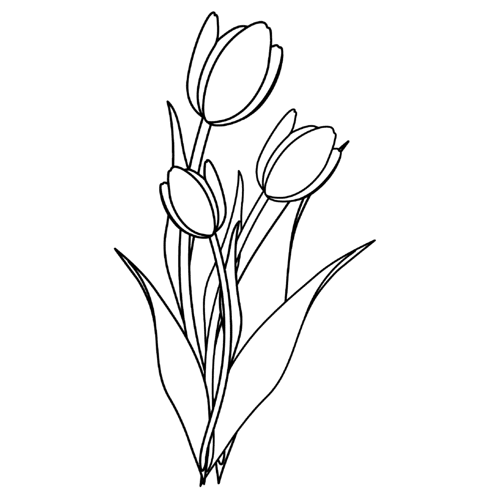 Bộ tranh tô màu hoa Tulip siêu đẹp dành cho bé 2