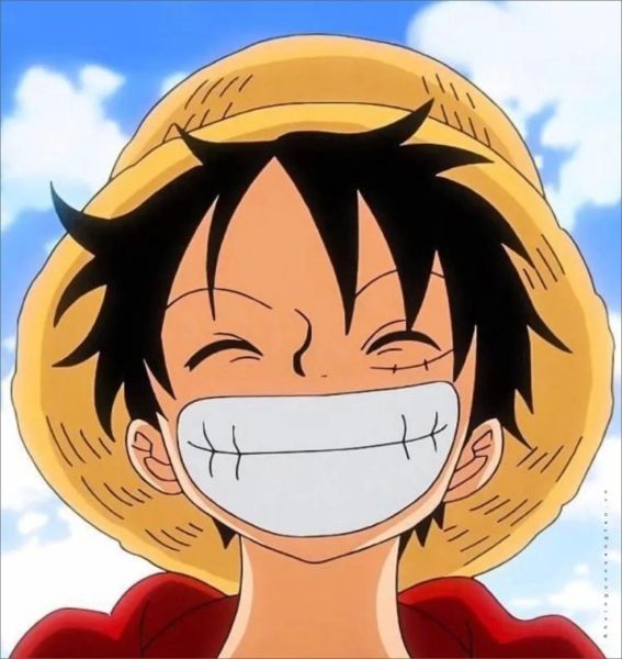 ảnh anime luffy 7