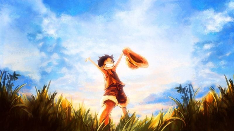 ảnh anime luffy 16