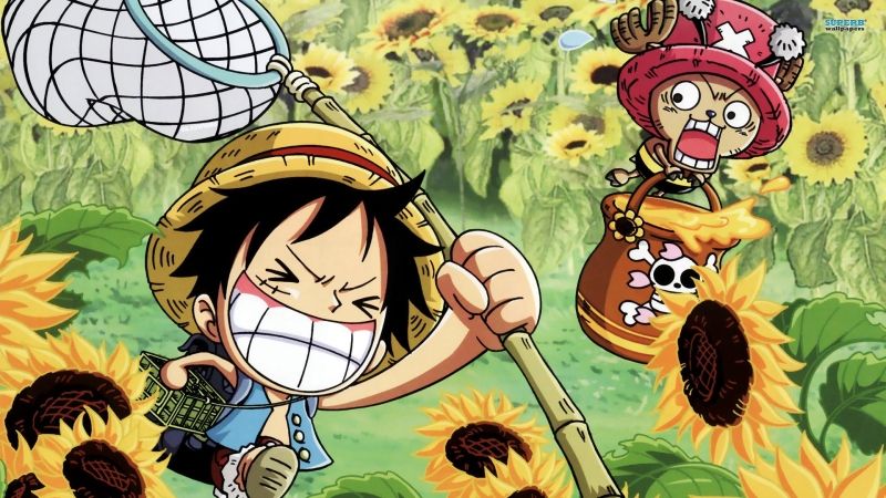 ảnh anime luffy 22