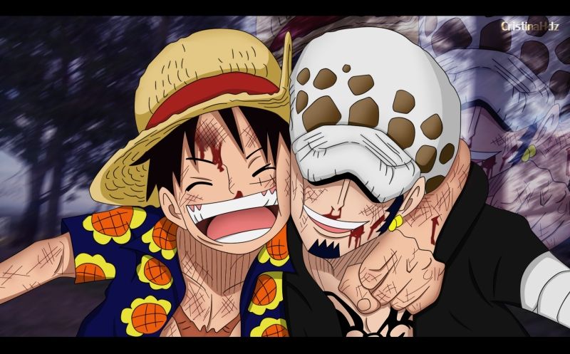 ảnh anime luffy 23