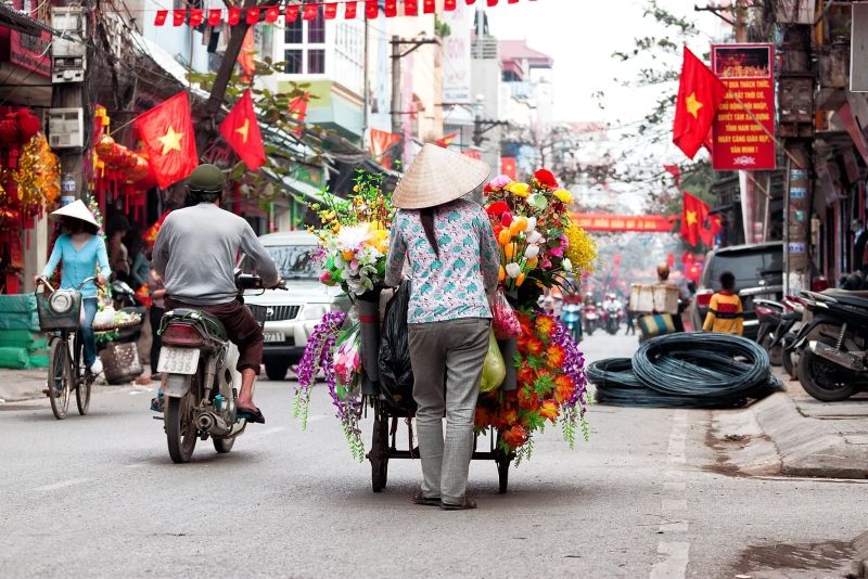 Ý nghĩa những loài hoa của mùa thu Hà Nội 24