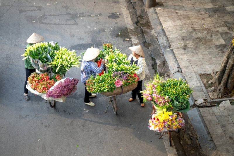 Ý nghĩa những loài hoa của mùa thu Hà Nội 23