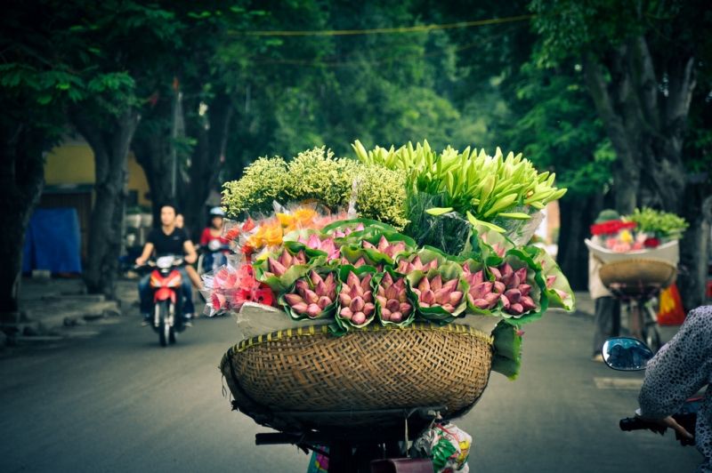 Ý nghĩa những loài hoa của mùa thu Hà Nội 22