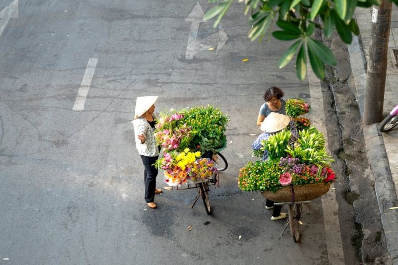 Ý nghĩa những loài hoa của mùa thu Hà Nội 19