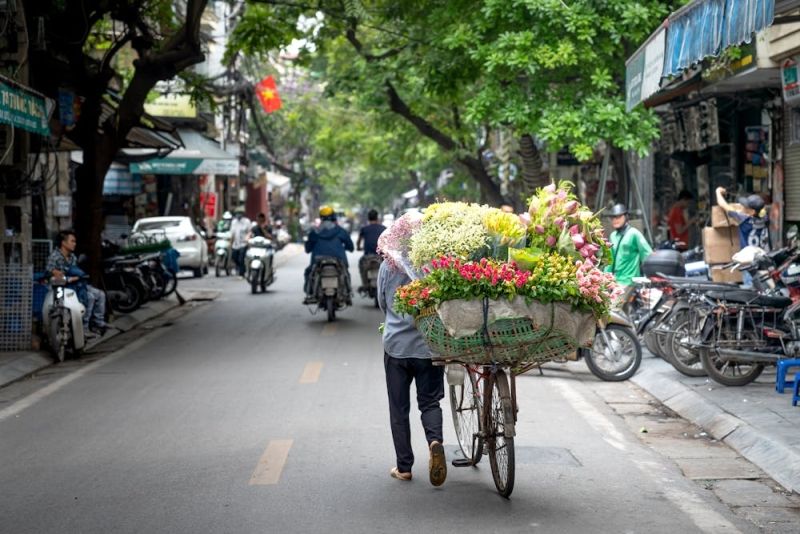 Ý nghĩa những loài hoa của mùa thu Hà Nội 16