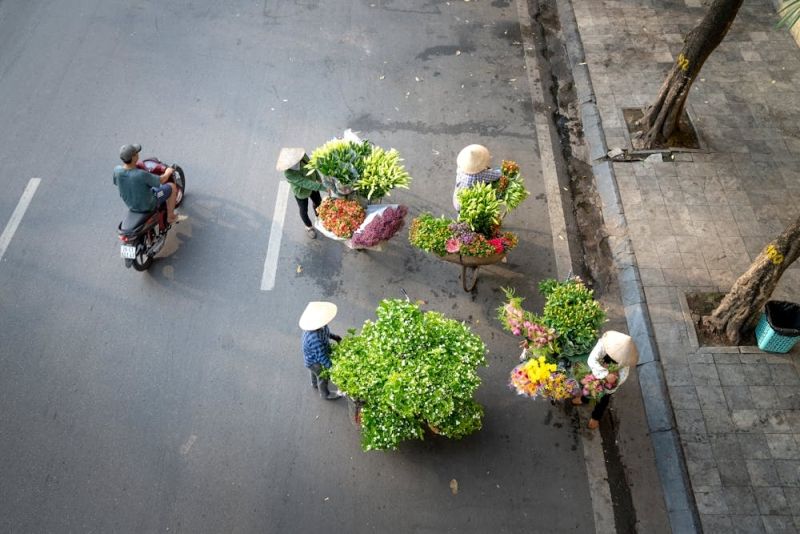 Ý nghĩa những loài hoa của mùa thu Hà Nội 13