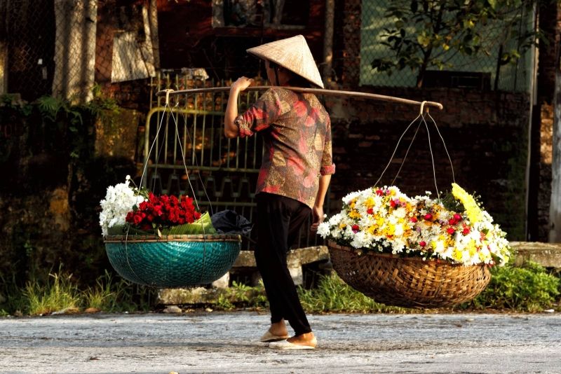 Ý nghĩa những loài hoa của mùa thu Hà Nội 9