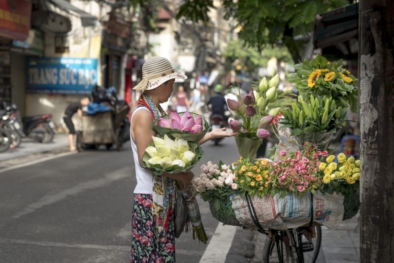 Ý nghĩa những loài hoa của mùa thu Hà Nội 7