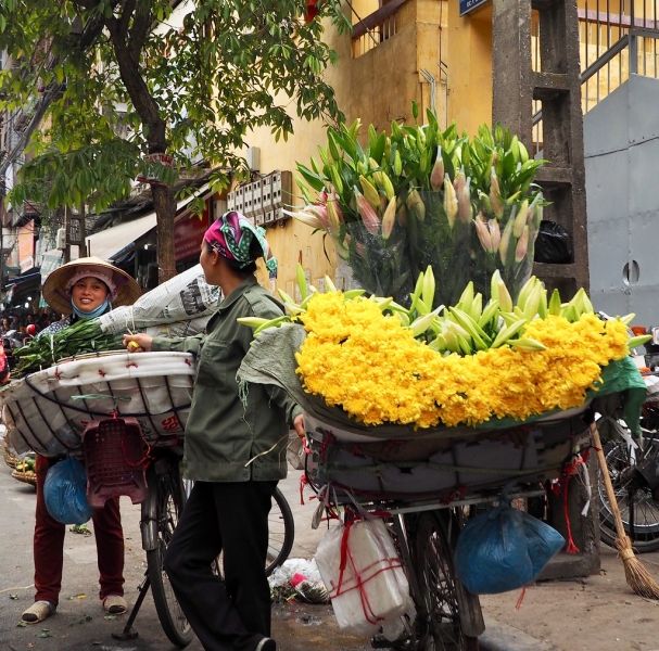 Ý nghĩa những loài hoa của mùa thu Hà Nội 4