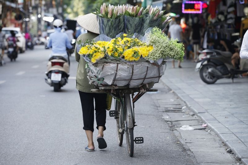 Hình ảnh hoa mùa thu Hà Nội đẹp, tràn ngập sắc vàng