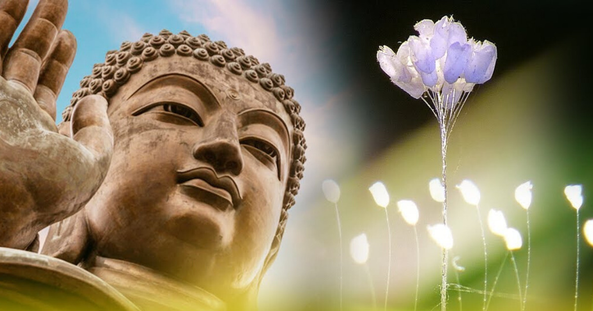 Ý nghĩa hoa ưu đàm trong Phật giáo 20