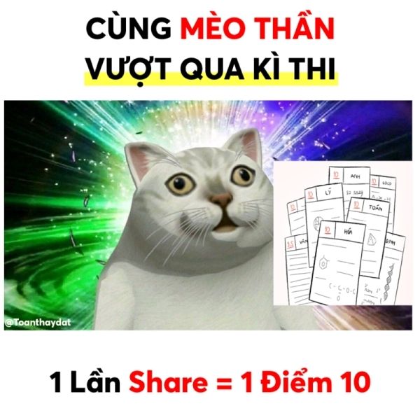 10 điểm meme 12