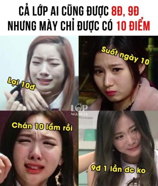 10 điểm meme 11