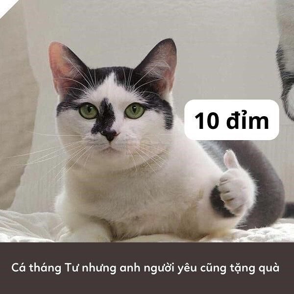 10 điểm meme 39