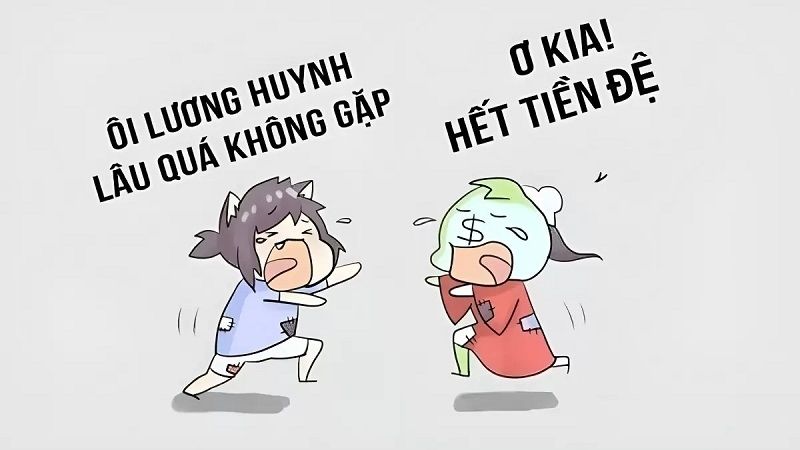 meme tết 28