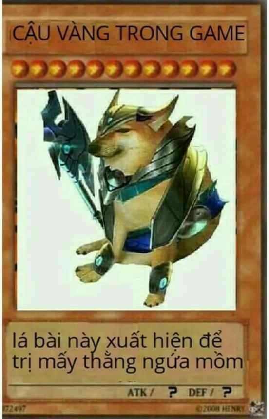 bài meme 43