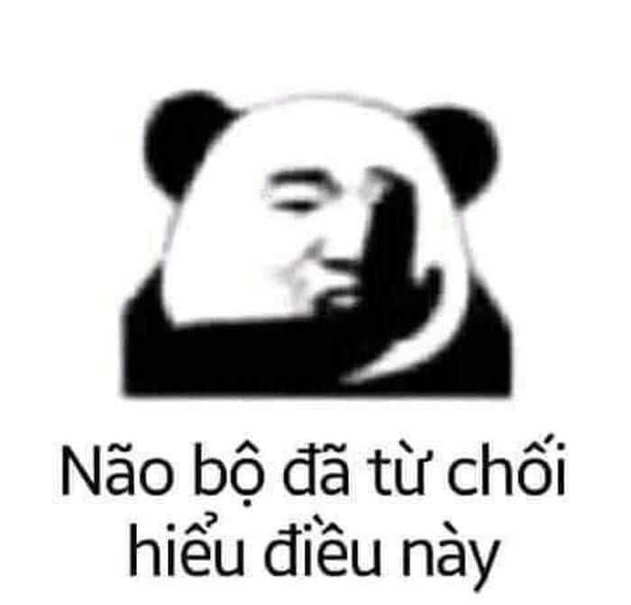 meme không 14