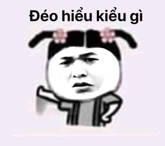 meme không 23